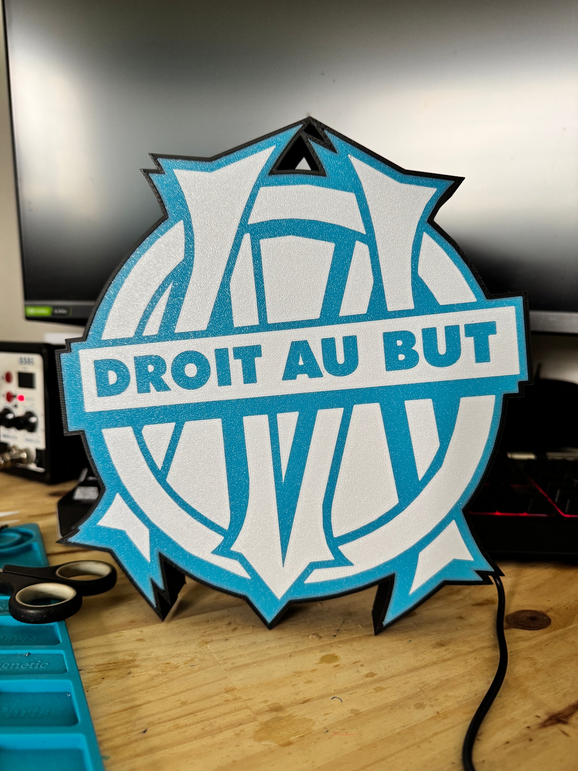 éclairage LED bleu et blanc OM
